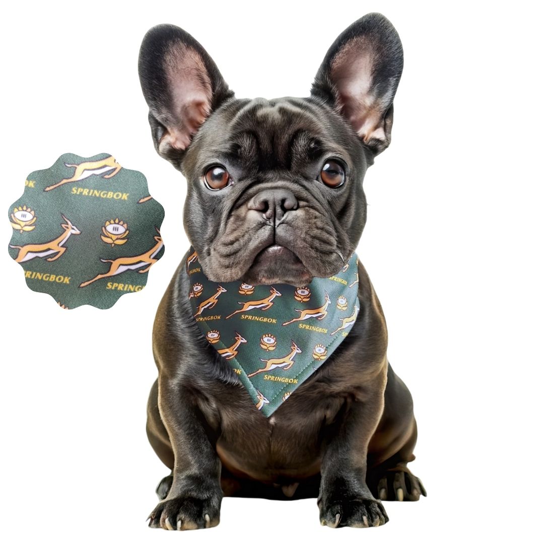 dog-collar-bandana-springbok
