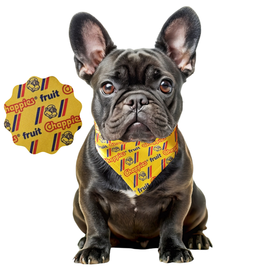 dog-collar-bandana-chappies