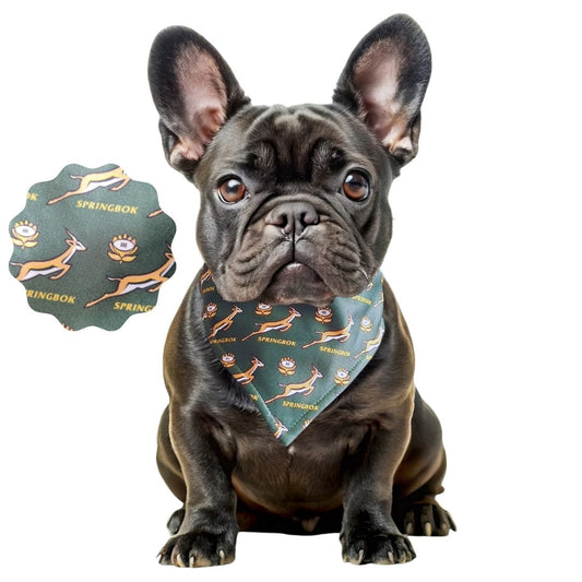dog-collar-bandana-springbok